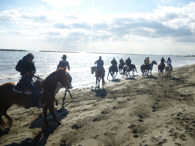  Concursos campestres y equitación